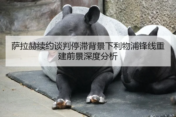 萨拉赫续约谈判停滞背景下利物浦锋线重建前景深度分析