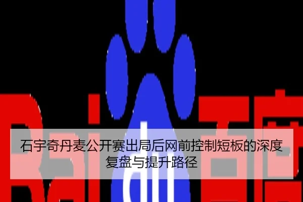 石宇奇丹麦公开赛出局后网前控制短板的深度复盘与提升路径